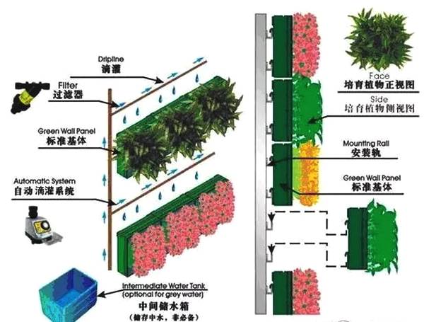 垂直绿化让混凝土变森林